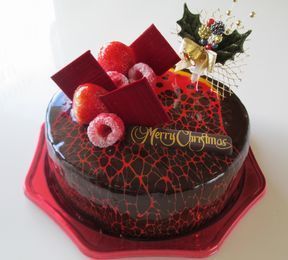 クリスマス ジュピター.jpg